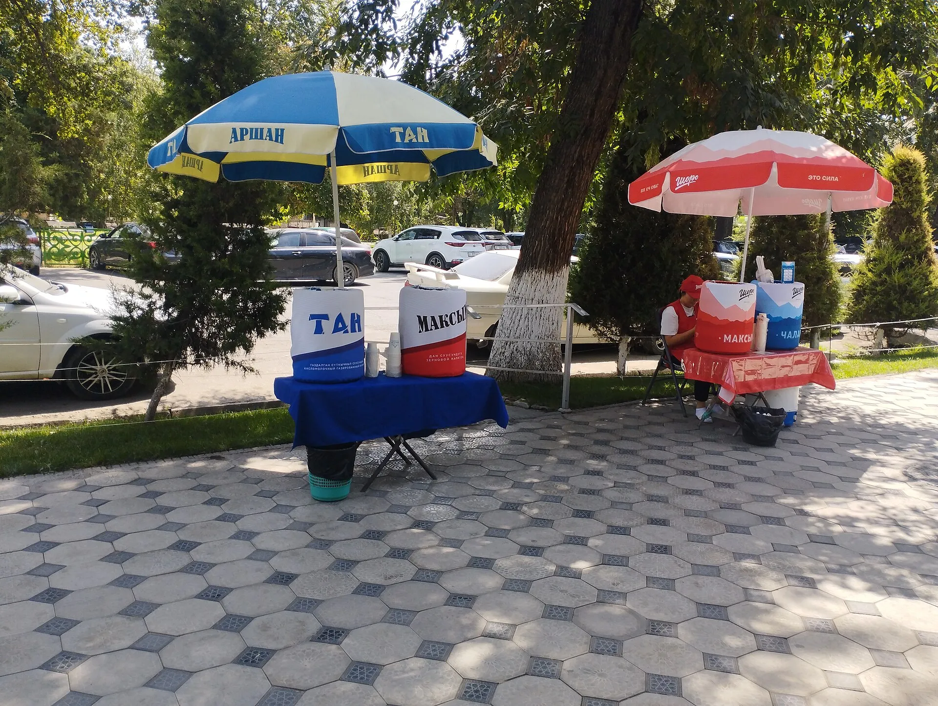 Уличные стойки с максымом, чалапом и напитком тан в Манасе