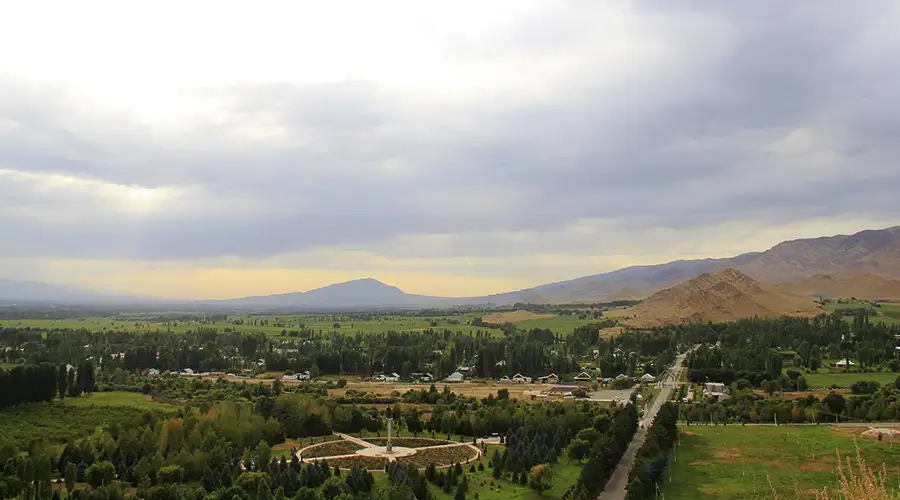 Talas