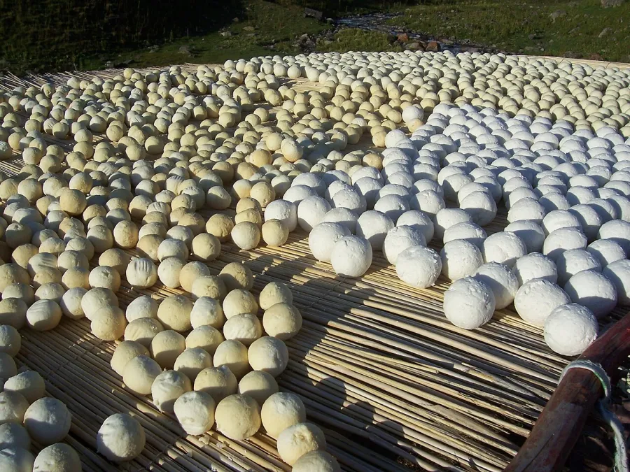 Rangées de boules de kurut séchant sur une natte tressée dans les montagnes du Kirghizstan