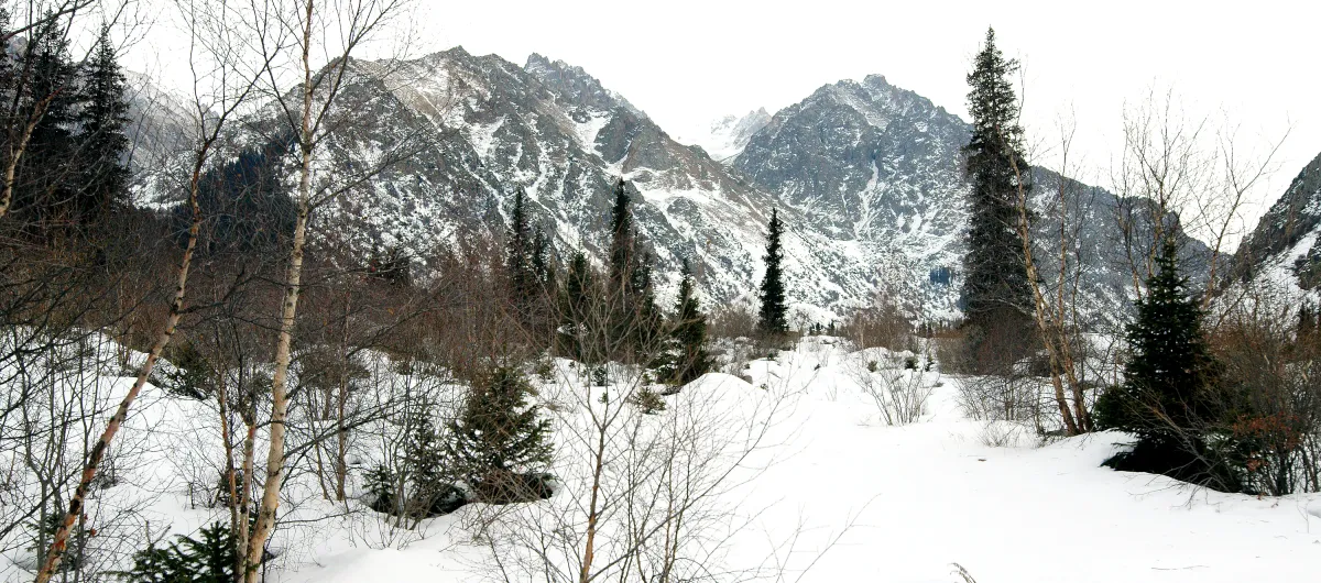 Parois rocheuses enneigées et forêt dans la partie haute d’Ala-Archa