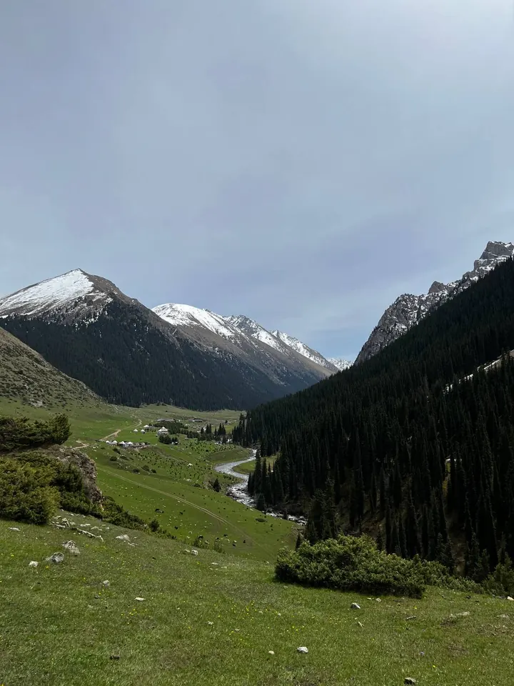 Altın-Araşan Nehri, ladin ormanı ve konukevlerine yukarıdan bakış