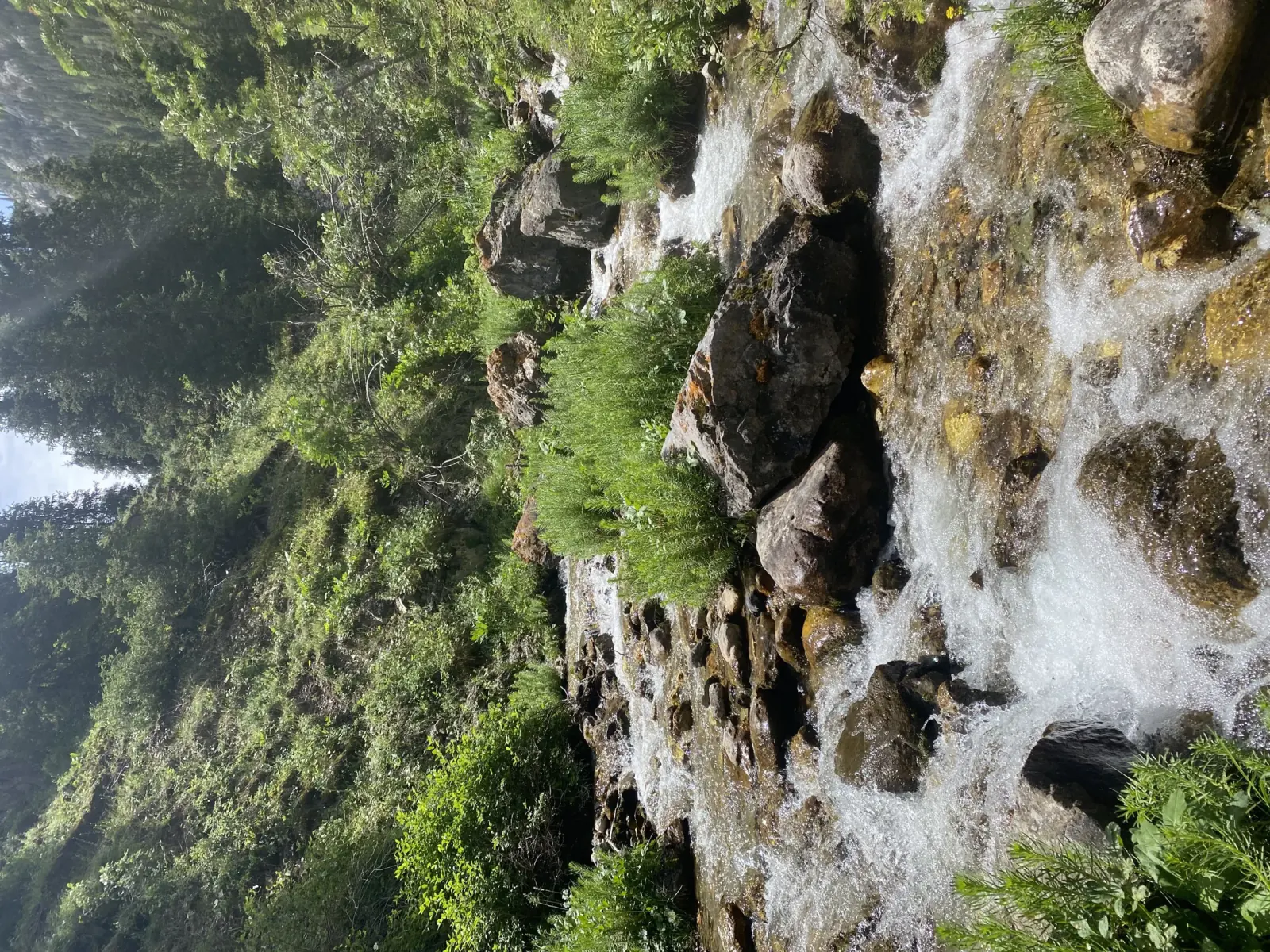 Basse vallée verte de Besh-Tash traversée par une route de montagne