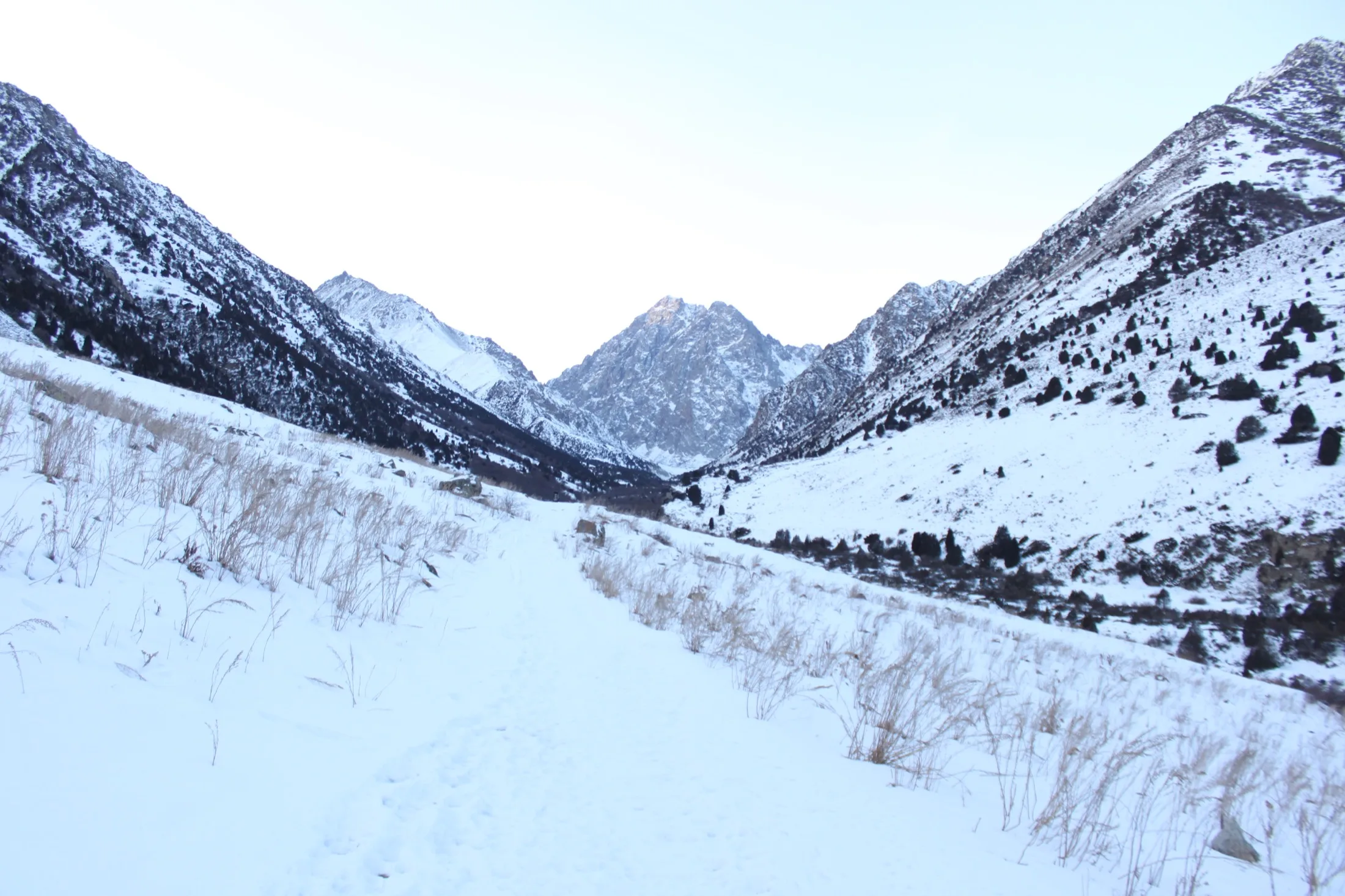 Large vallée de la rivière Issyk-Ata entre les versants montagneux