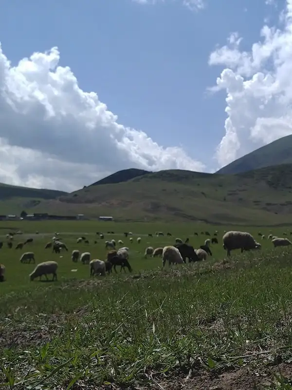 Джайлоо в Семеновском ущелье