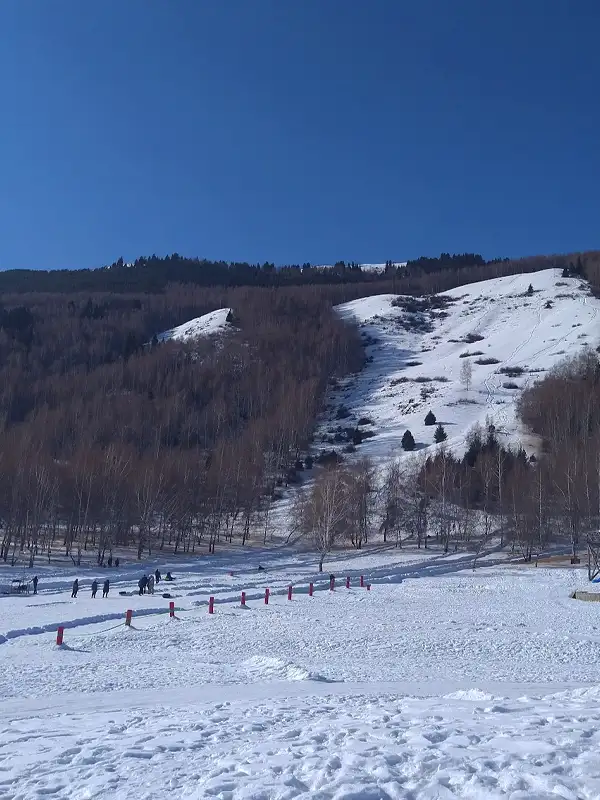 Зимняя горка, катание на ватрушках вСеменовском ущелье